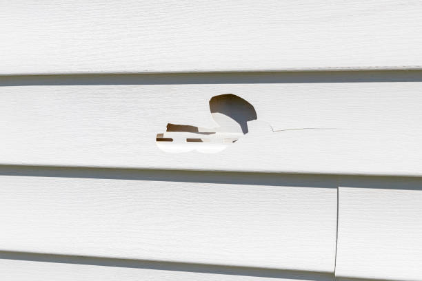 How To Choose The Right Materials for Your Siding Installation in 'Vidor, TX